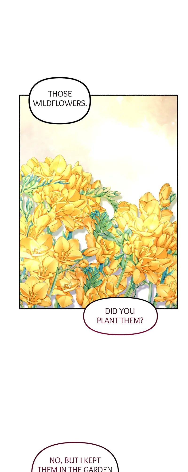 32997654 800 2000 75120