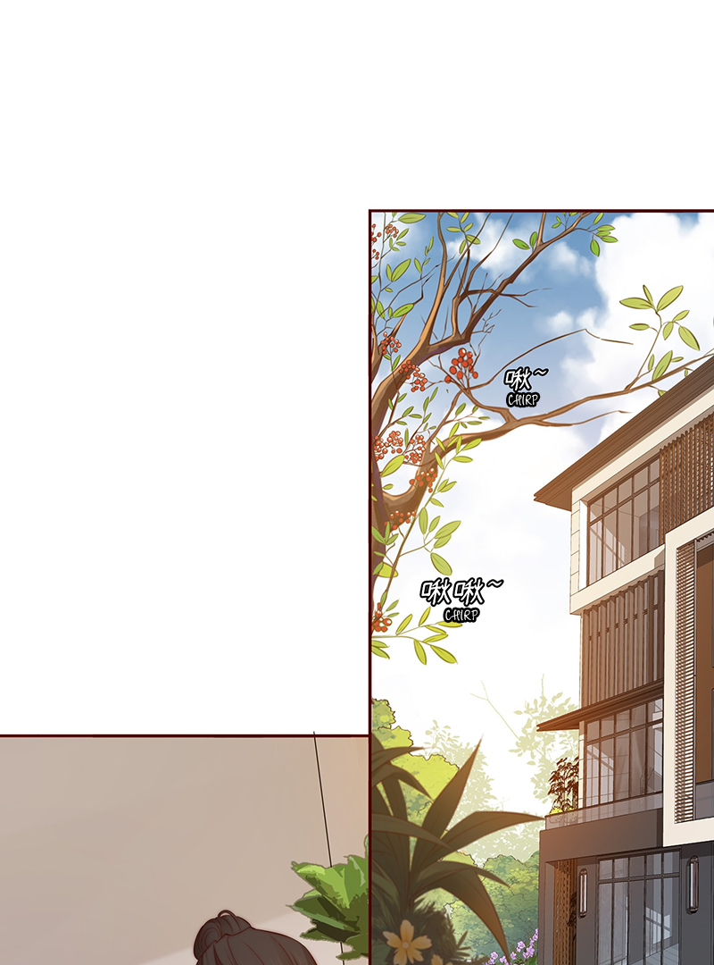 60912552 800 1080 401618